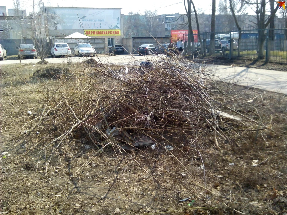 Куряне снова начали жечь сухостой