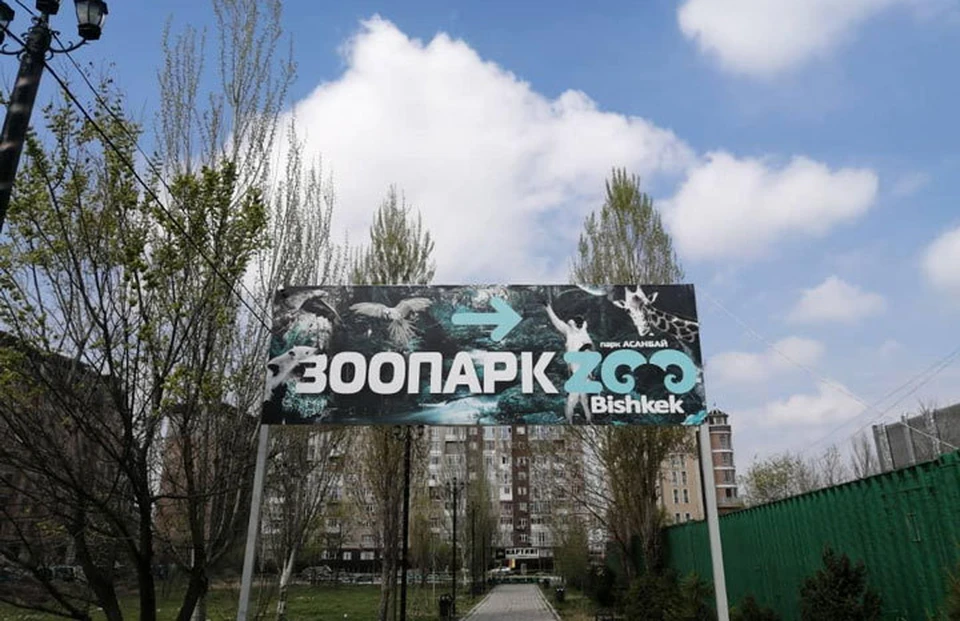 Бишкекскому зоопарку нужна помощь!
