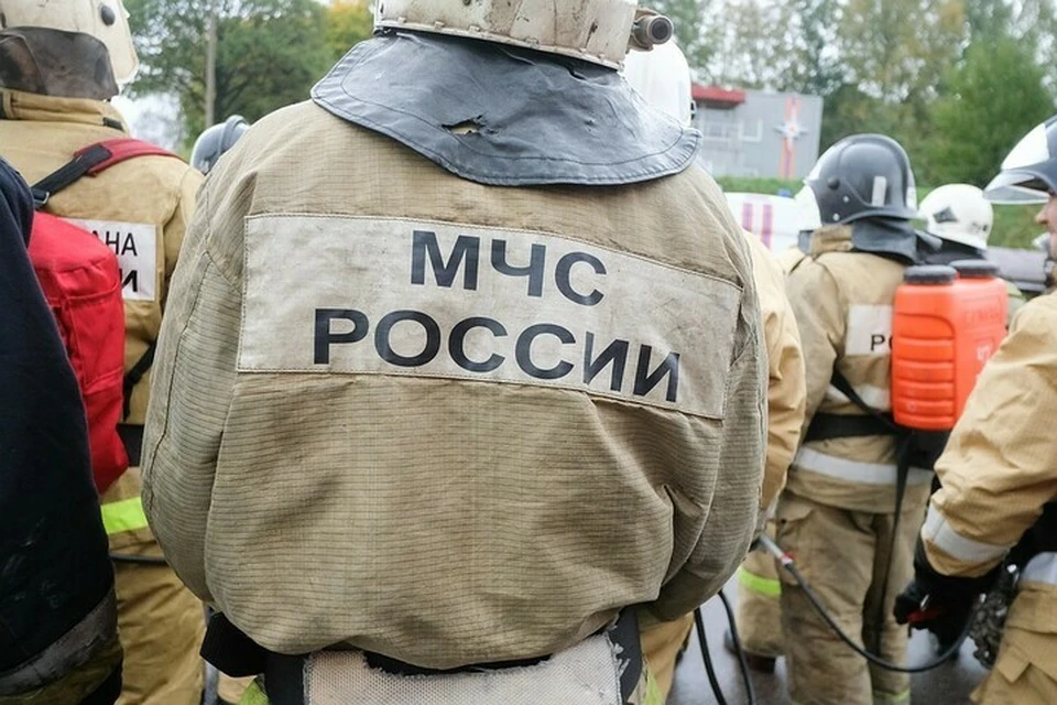В Новороссийске ночью горела трава