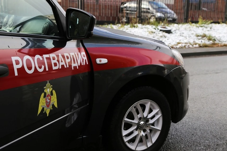 Фото: пресс-служба Росгвардии по Свердловской области