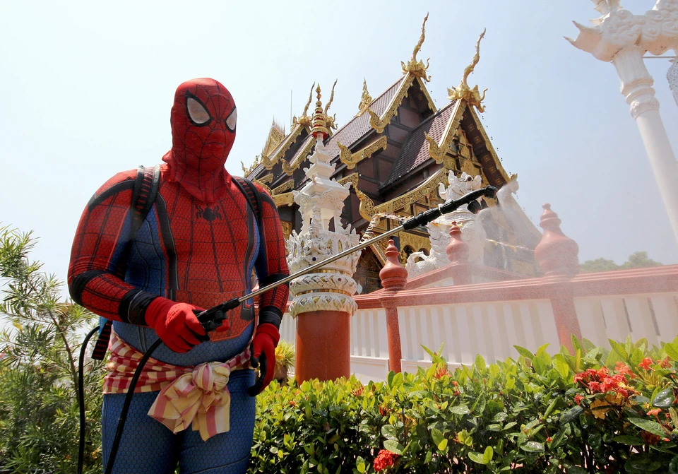 Тайский Спайдермен помогает дезинфицировать храмы в Бангкоке, апрель 2020 года.