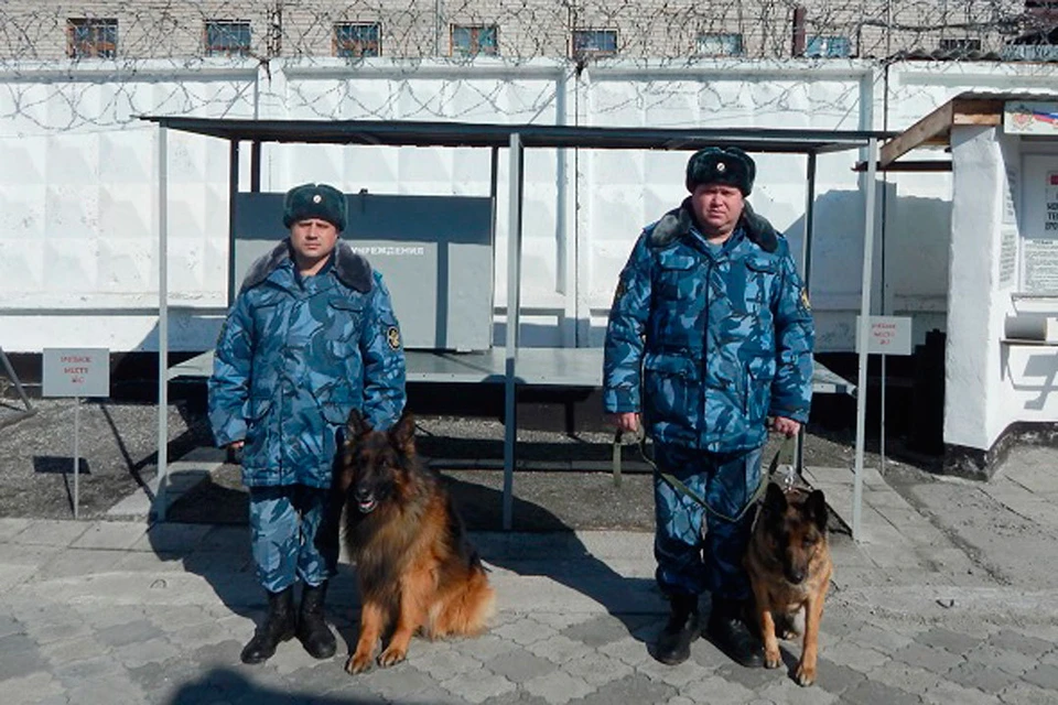 Фото предоставлено УФСИН по Алтайскому краю.