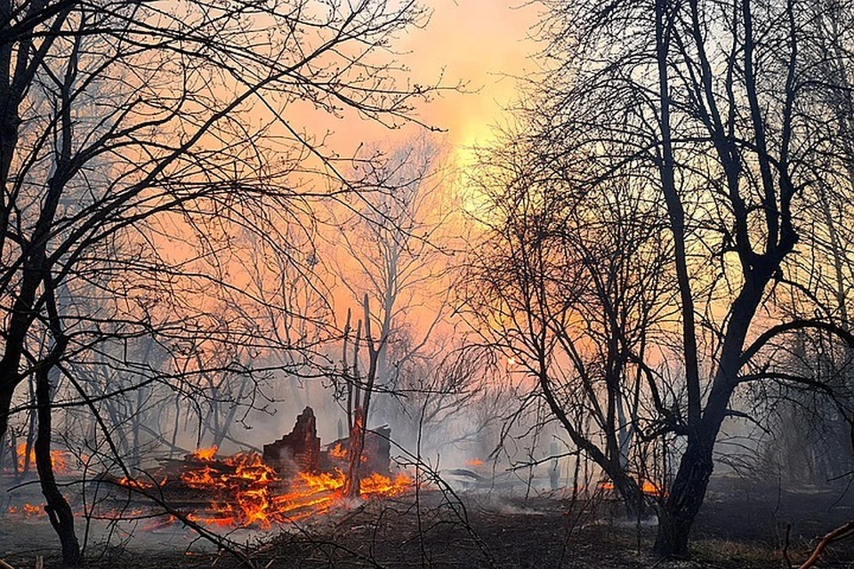 Пожары в районе Чернобыля начались еще 4 апреля