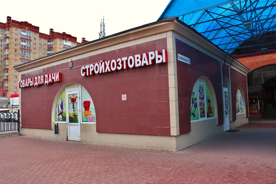 Купить рассаду или семена в Санкт-Петербурге можно в любом специализированном магазине.