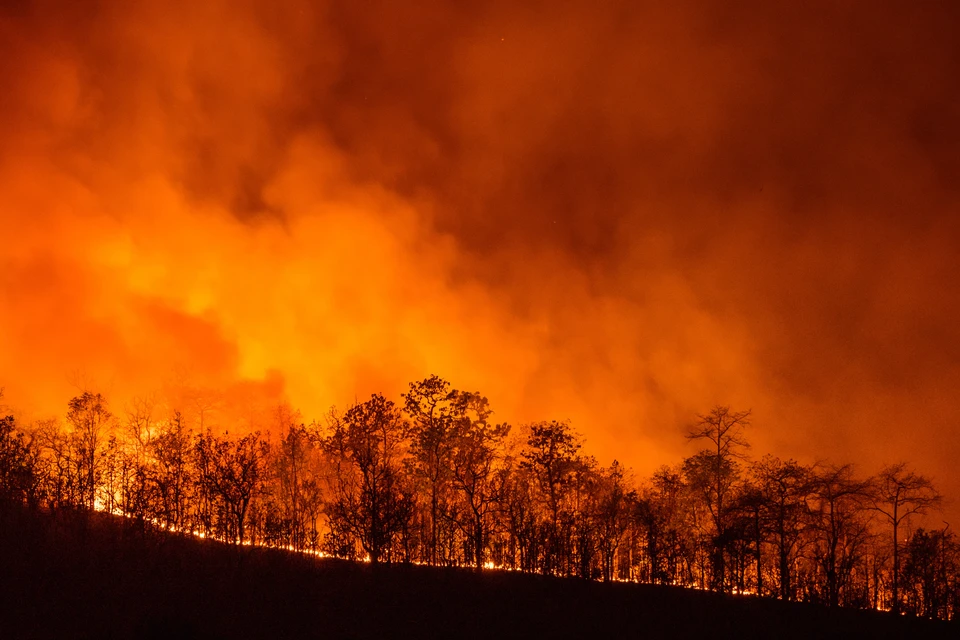 Лесные пожары гарантировано усилят запыленность воздуха. Фото: shutterstock.com