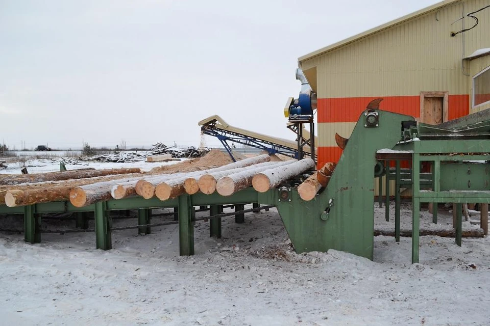 В Исетском районе реализуется инвестпроект по глубокой переработке древесины