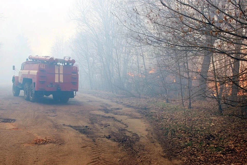 Лесные пожары вокруг Чернобыля начались еще 4 апреля