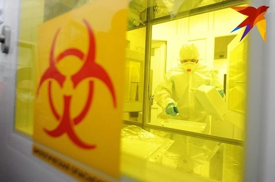 Диагностировать корорнавирус стали чаще. Москва прогнозирует пик пандемии в России на этой неделе