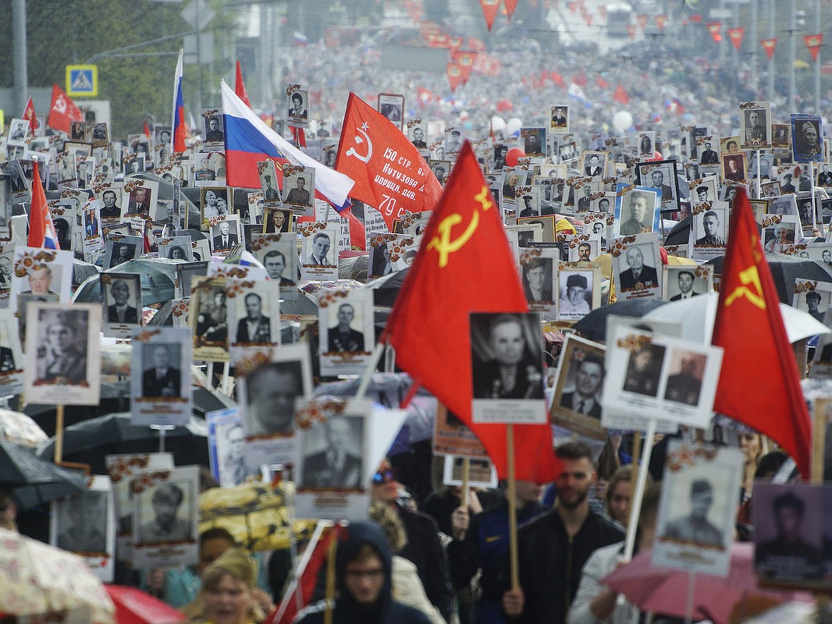 Народный полк найти по фамилии