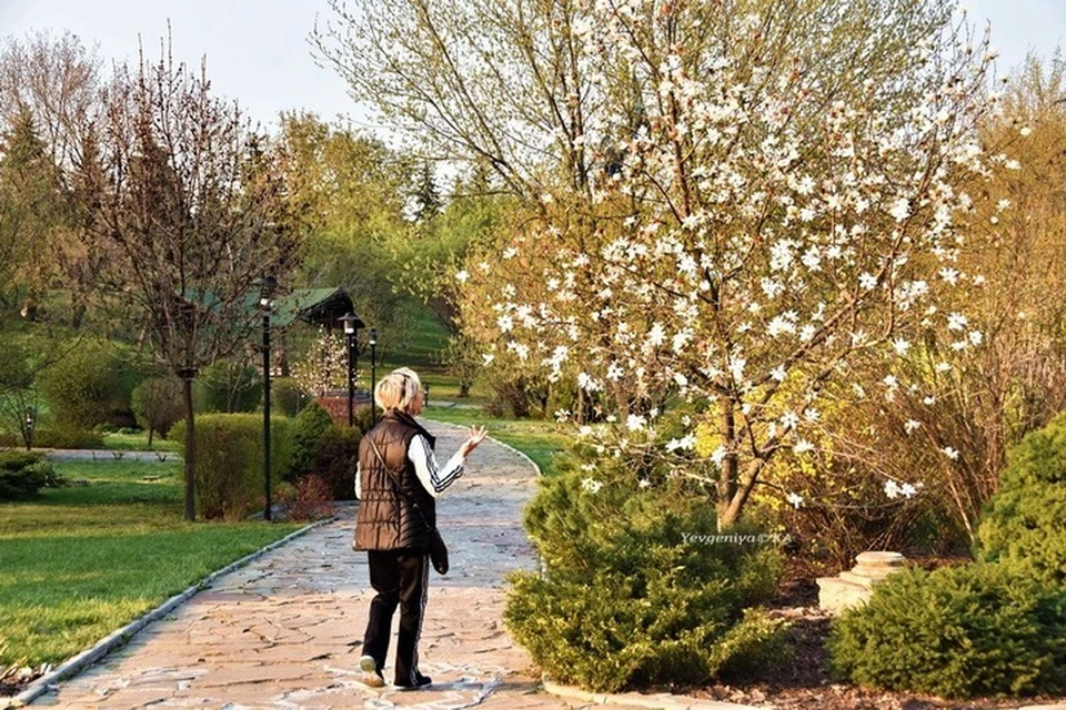 Погода в Луганске на день: 21 апреля луганчан ждут +13 и небольшие ...