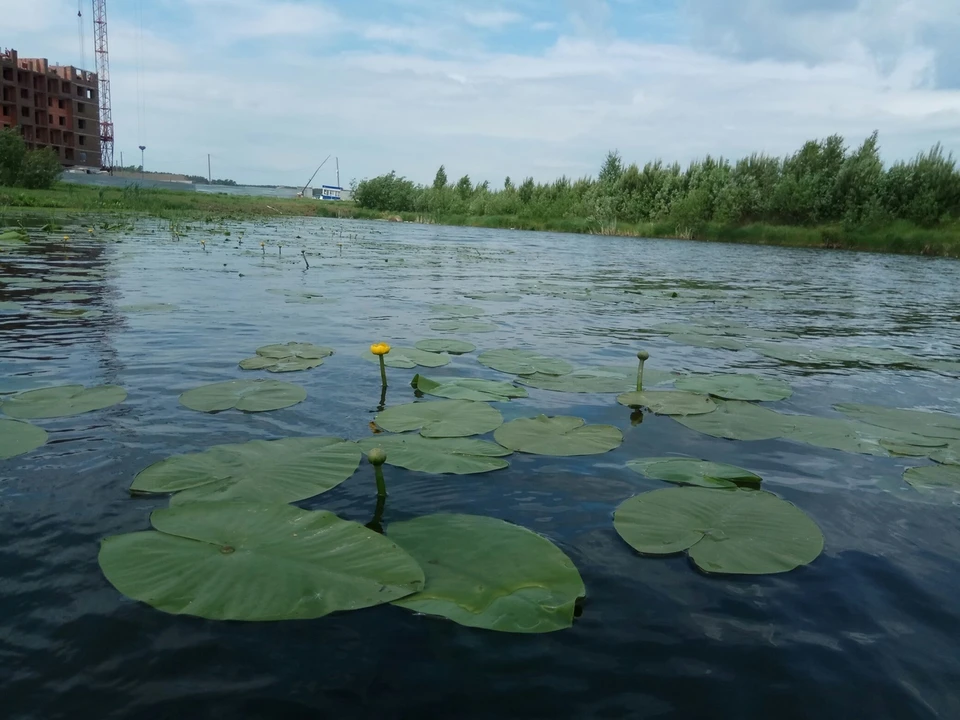 Клевое озеро омск фото