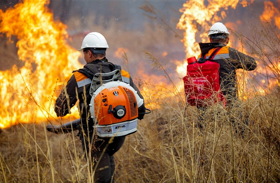 Пожарная обстановка в Приморье остается сложной. Фото: сайт правительства Приморья