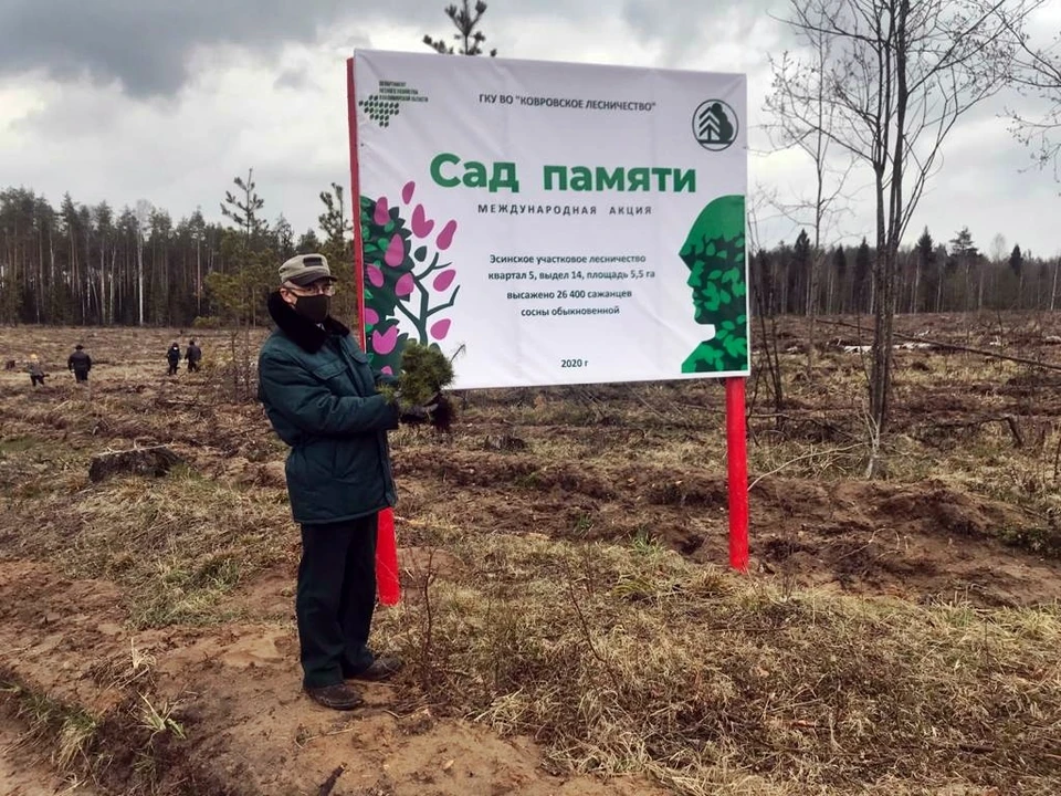 Проект сад памяти