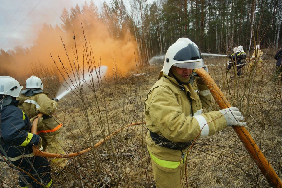 Картинка тушение пожара в лесу