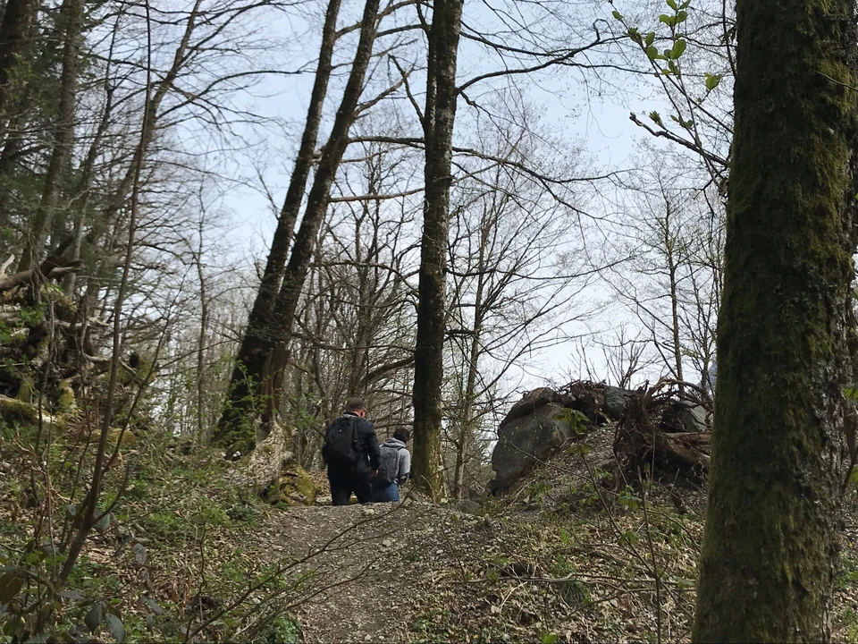 В Сочи возбуждено уголовное дело по факту загрязнения земельного участка химическими веществами.