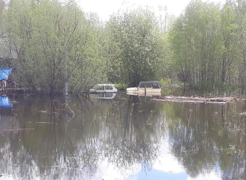 Тюлькино соликамск фото