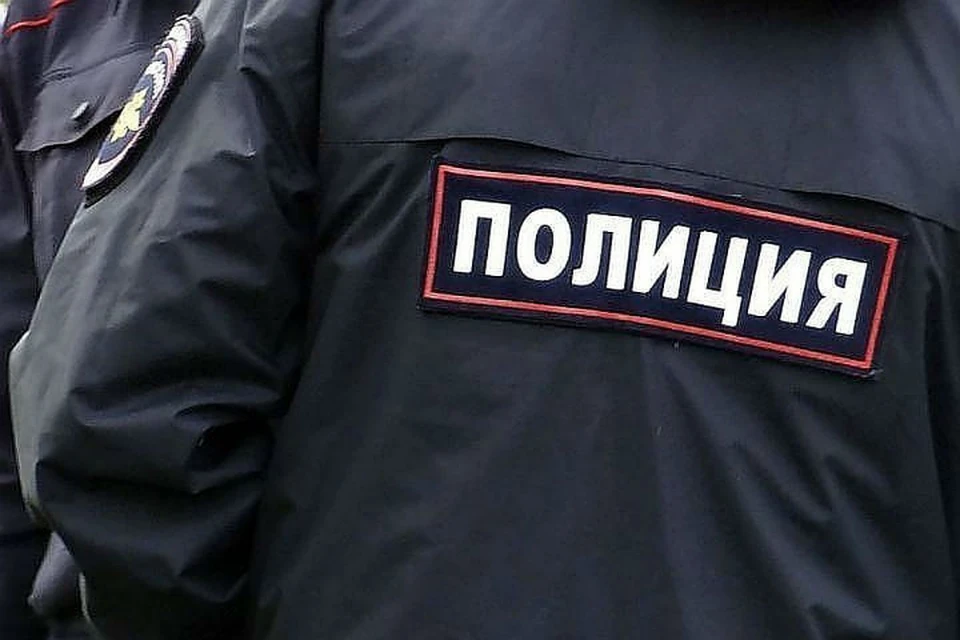 Полицейские ищут четырех без вести пропавших детей в Иркутске