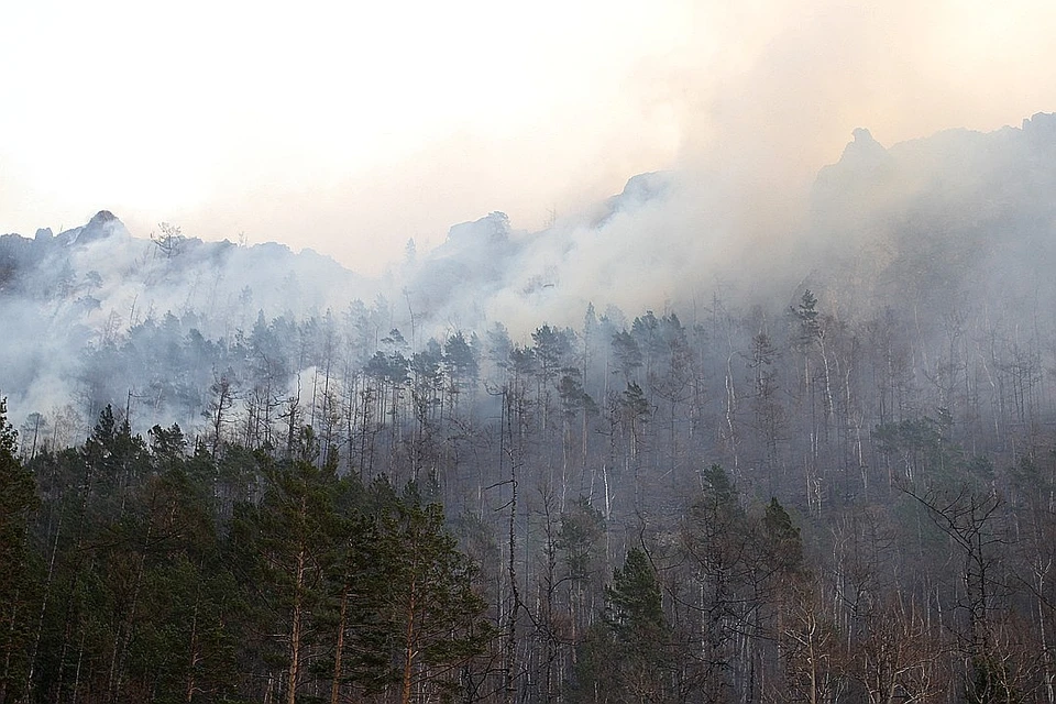 482 гектара леса горит 24 мая в Иркутской области