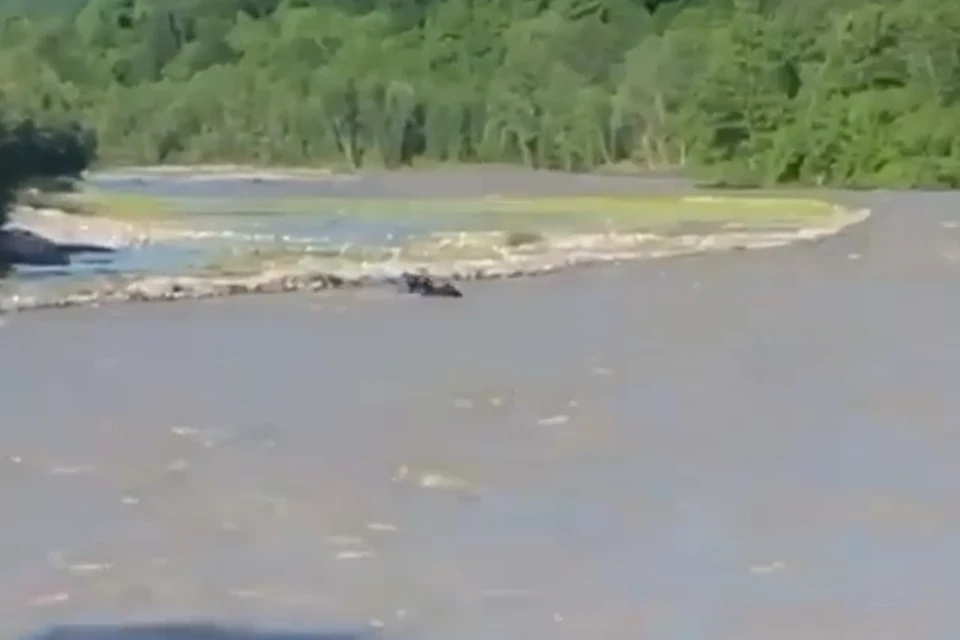 Фото: кадр из видео.