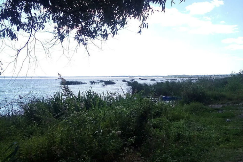 Ростовцы жалуются на запах тухлой рыбы от водопроводной воды