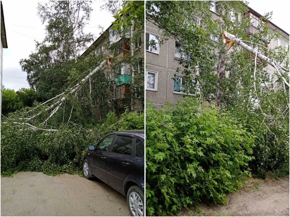 Фото: «ЧП Омск»