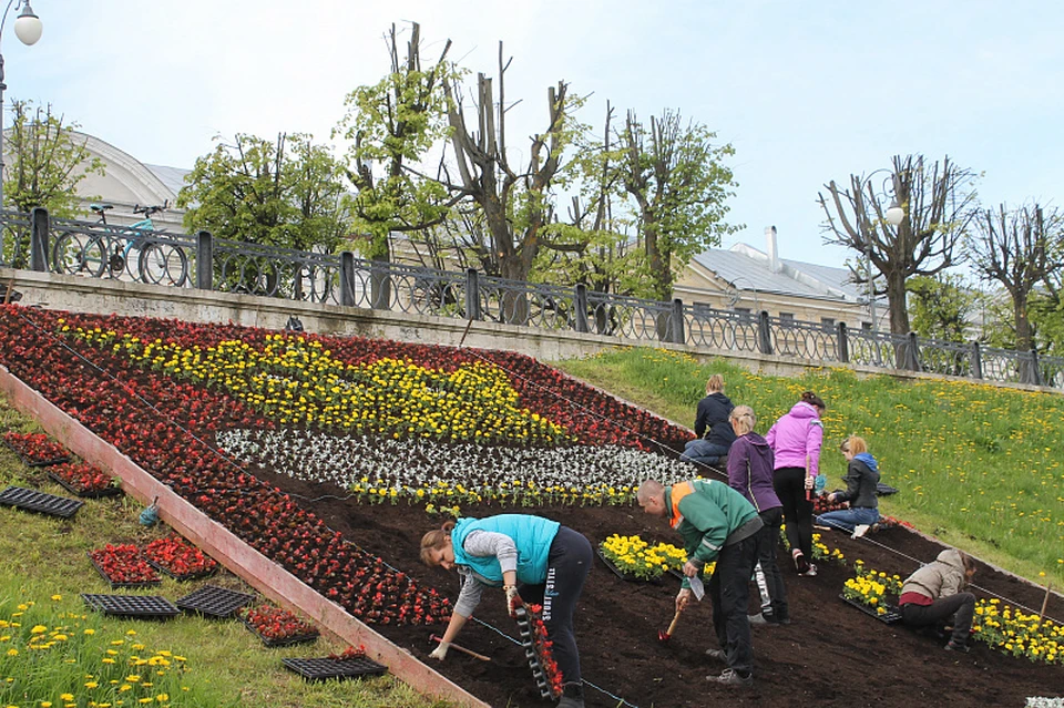 Цветник в форме герба города украсил набережную Степана Разина Фото: администрация Твери