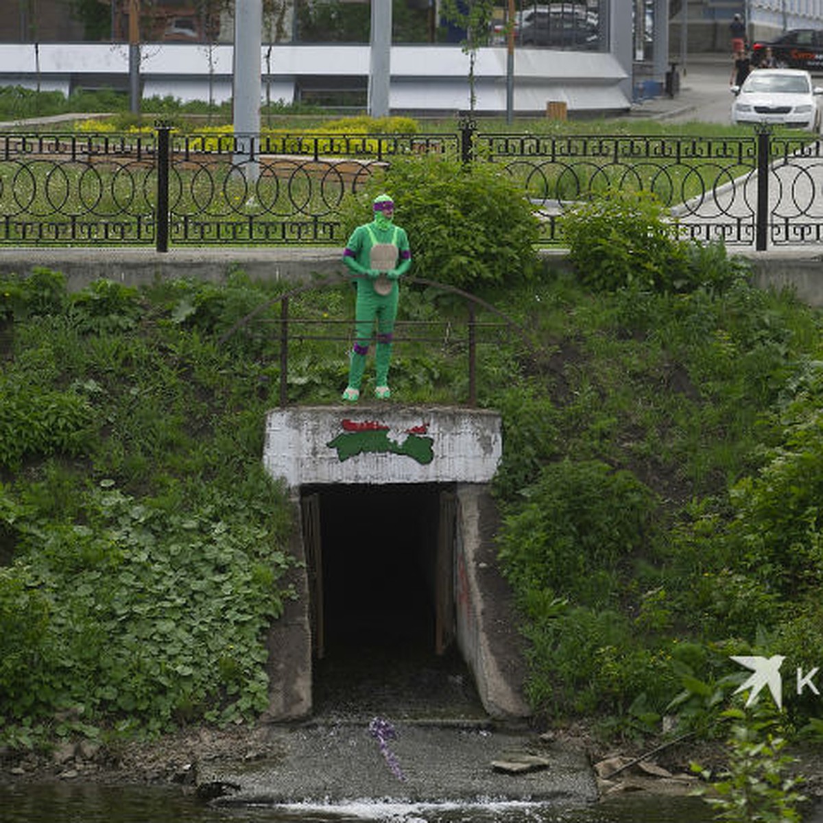 Они существуют: возле логова черепашек-ниндзя в Екатеринбурге был замечен  Донателло - KP.RU