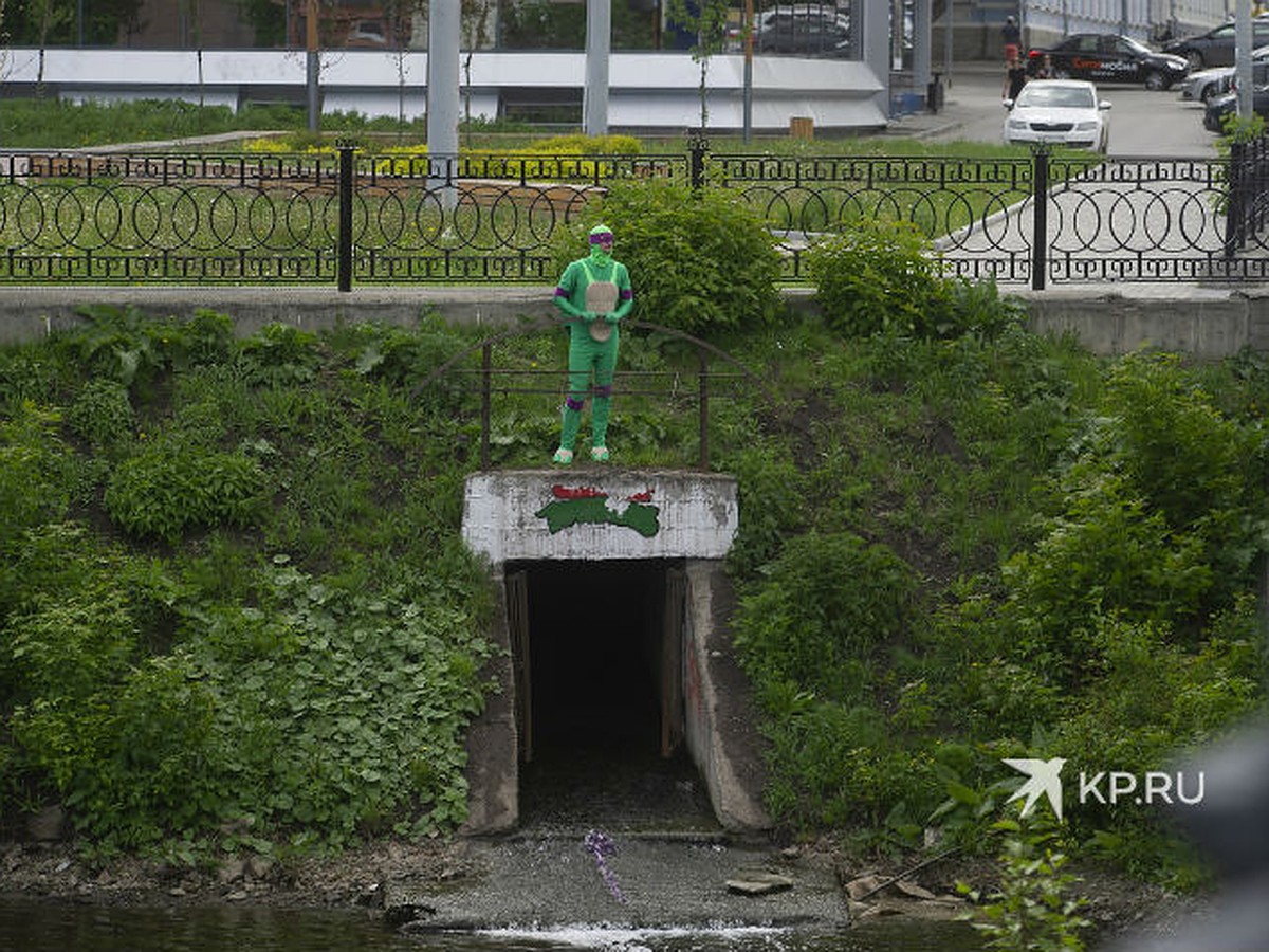 Они существуют: возле логова черепашек-ниндзя в Екатеринбурге был замечен  Донателло - KP.RU