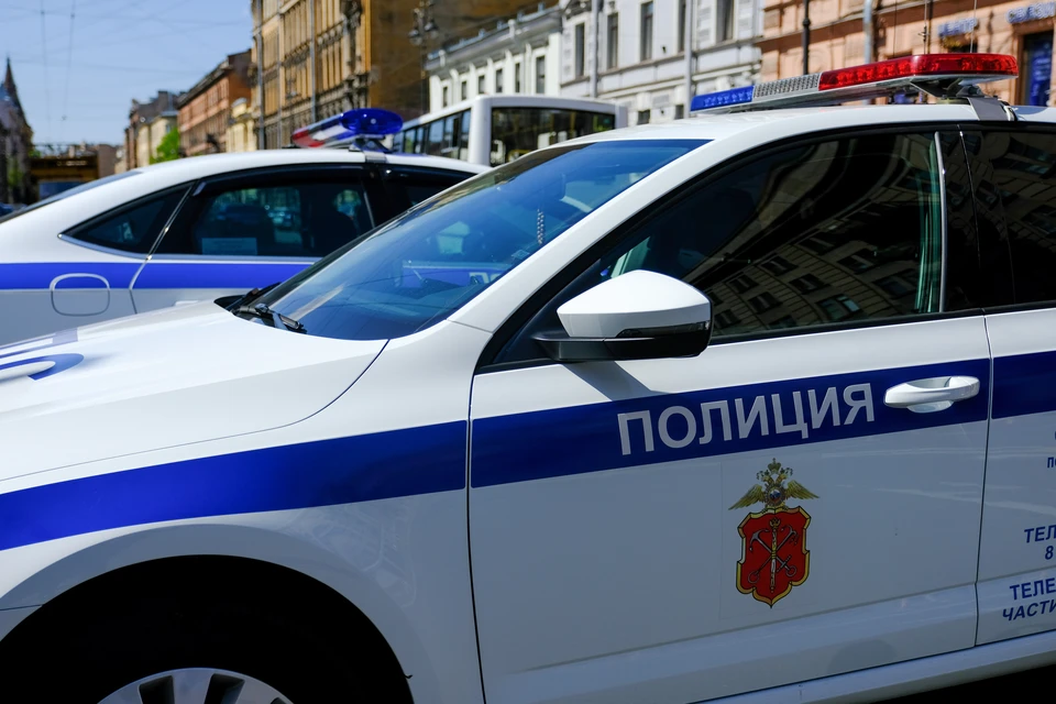 Полицейские ищут двух подростков, ограбивших своих сверстников.