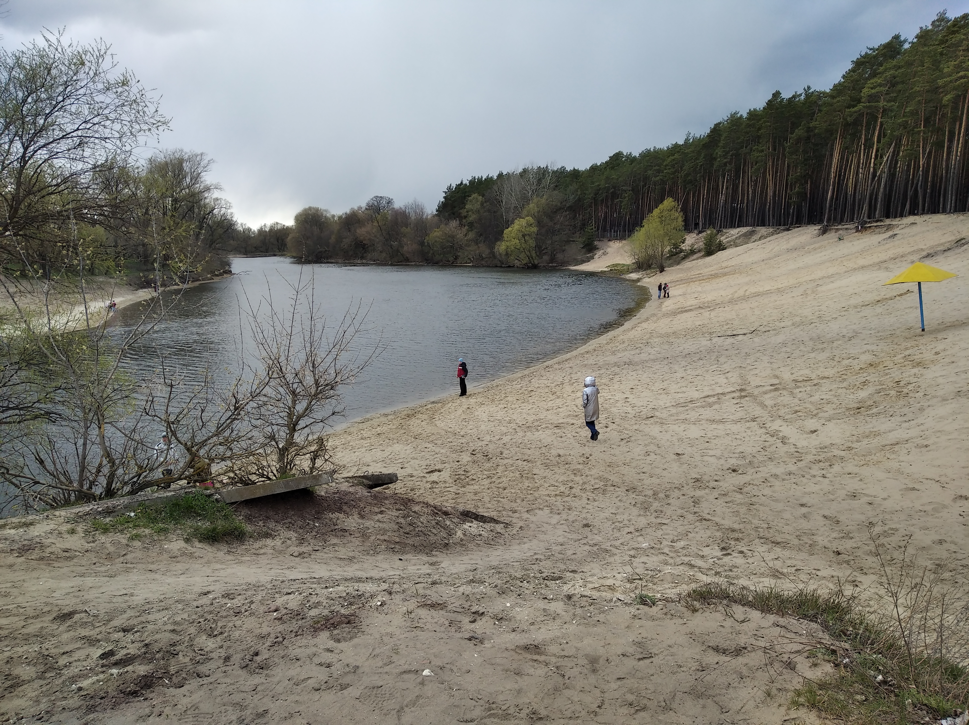 Сейм пляж. Пляж Олимпиец Курск. Пляж в клюкве Курск. Речка в клюкве Курск. Река Сейм в Курске пляж.