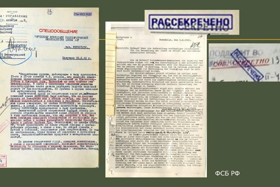 В Ленобласти опубликовали документы о зверствах нацистов в годы войны. Фото: пресс-служба правительства ЛО.