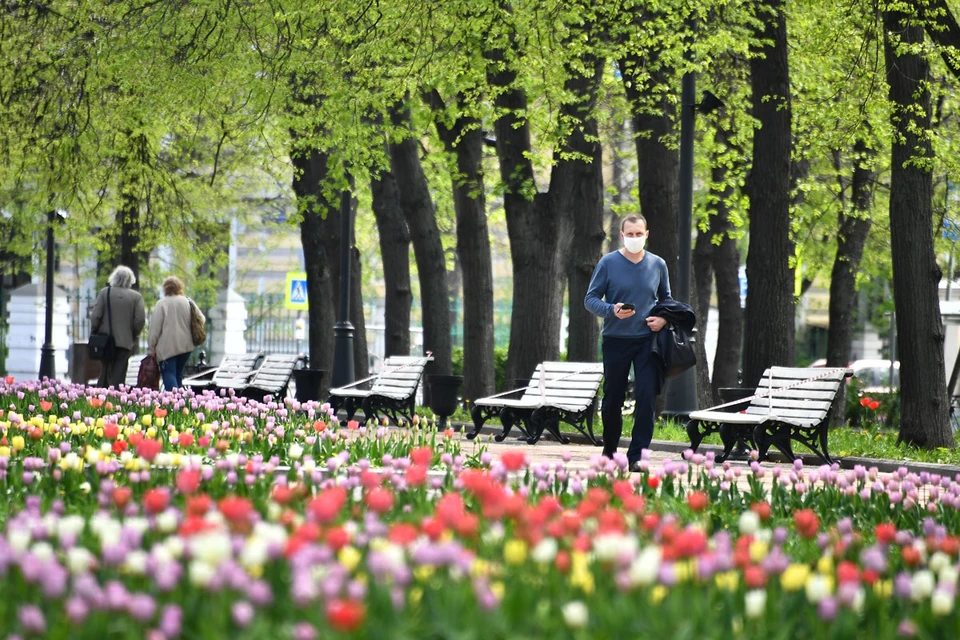 С 1 июня в Москве разрешены пешие прогулки около дома для всех желающих.