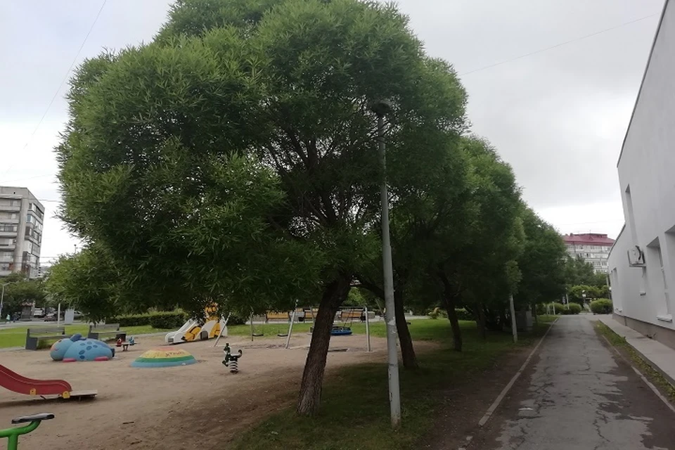 Погода в Югре 4 июня: местами небольшой дождь. Фото: Савинов Руслан.