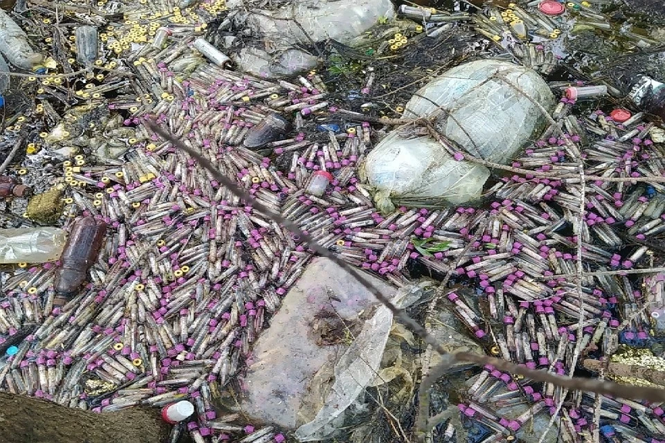 В воде плавало огромное количество пробирок с кровью. Фото: vk.com/zlo43