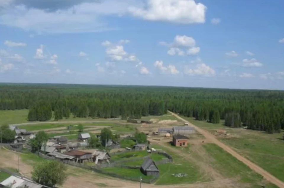 Поселок Лель в Гайнском районе окружен лесами и болотами
