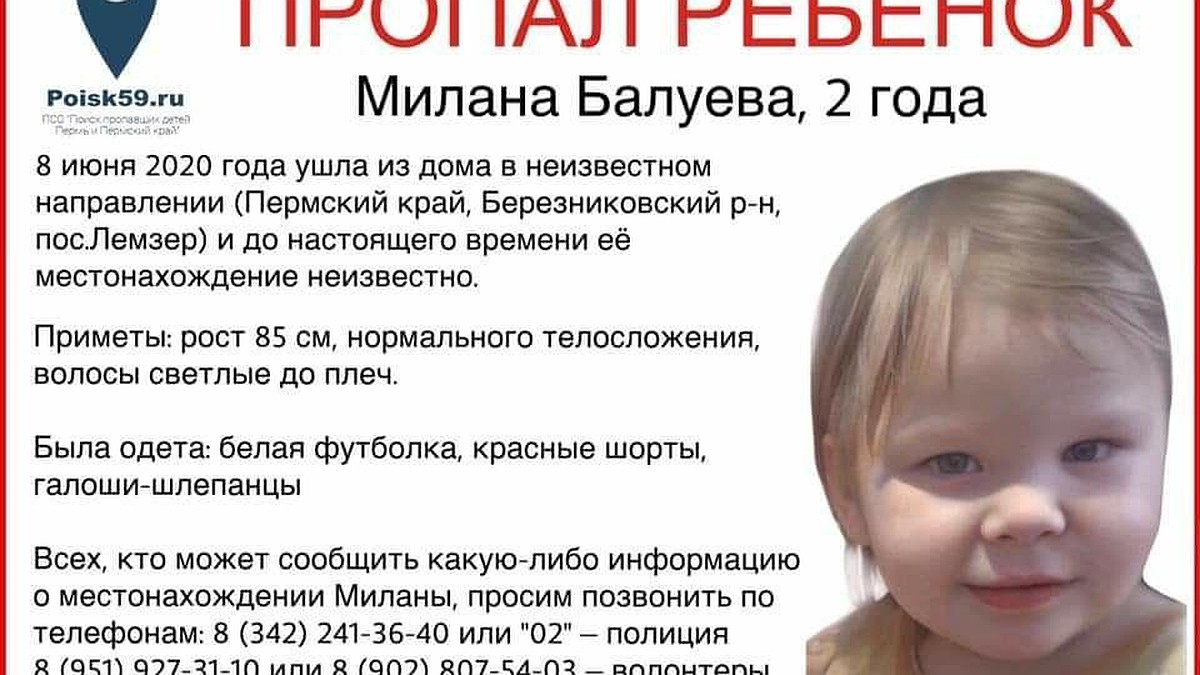 Прочесываем лес». В Пермском крае продолжаются поиски 2-летней девочки -  KP.RU