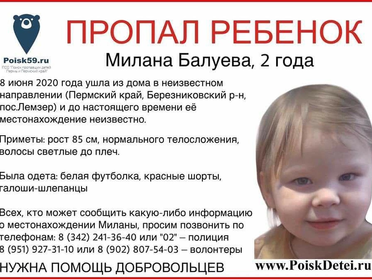 Прочесываем лес». В Пермском крае продолжаются поиски 2-летней девочки -  KP.RU