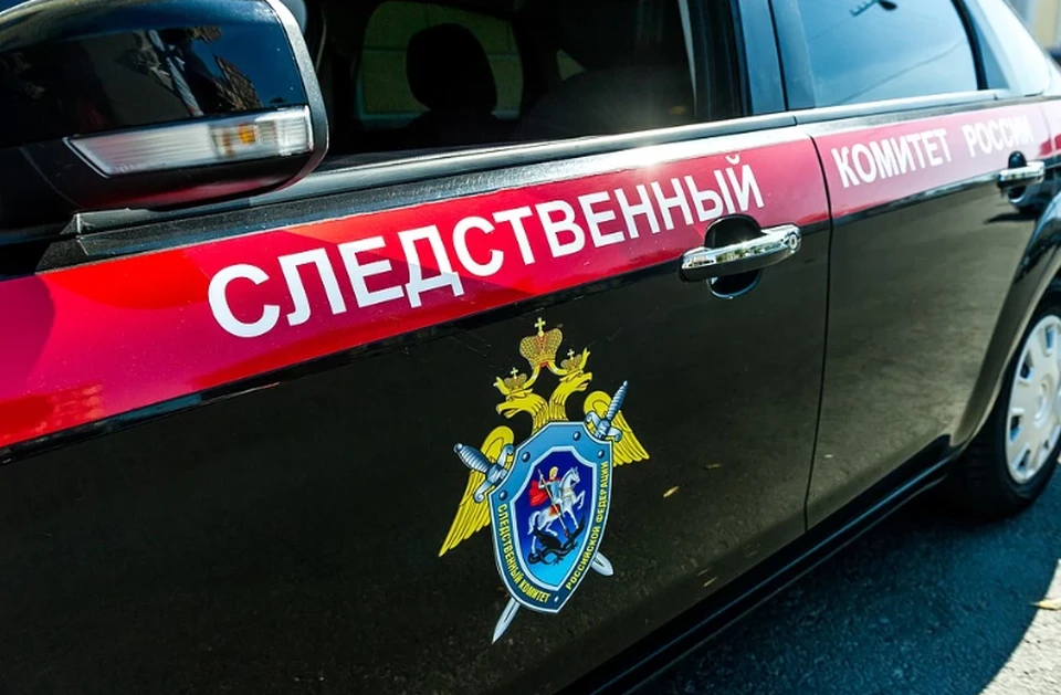 Милена Балуева пропала вечером 8 июня. Фото ГУ МВД по Пермскому краю.