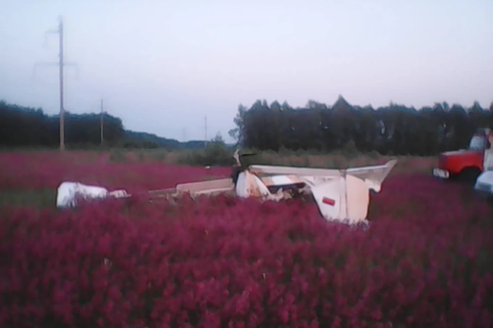 В Рязанской области при крушении легкомоторного самолета погиб пилот. Фото: 62.mchs.gov.ru