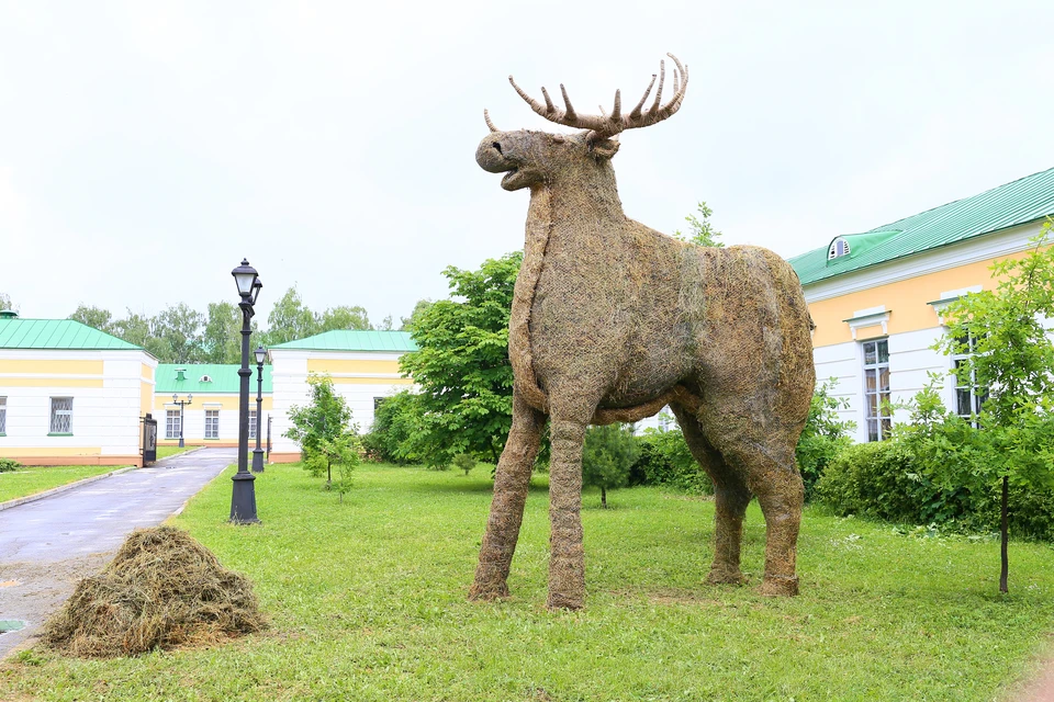 Фото ижевск лось