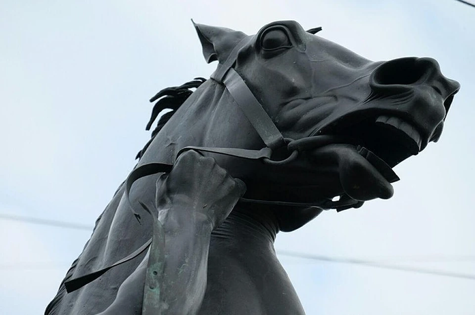 Ремонт порванной уздечки на одном из коней Клодта оценили в 100 тысяч рублей.