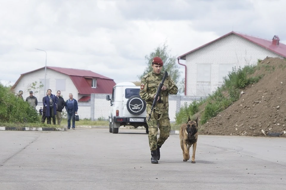 В Екатеринбурге поймали воришку интернет-кабелей