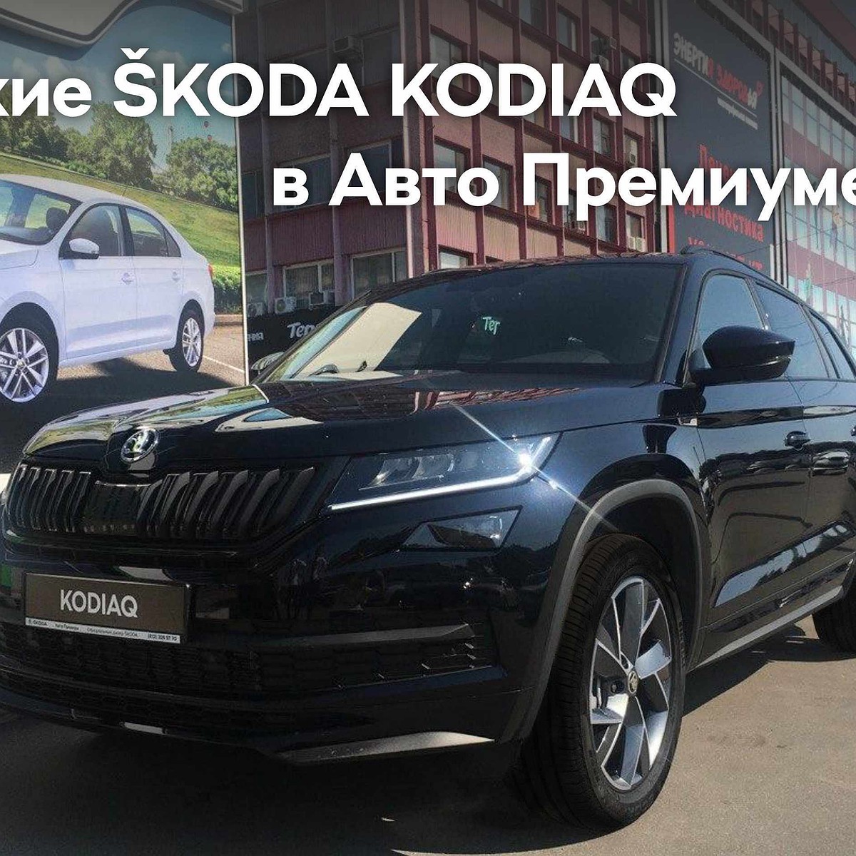 Редкие SKODA KODIAQ в Авто Премиуме - KP.RU