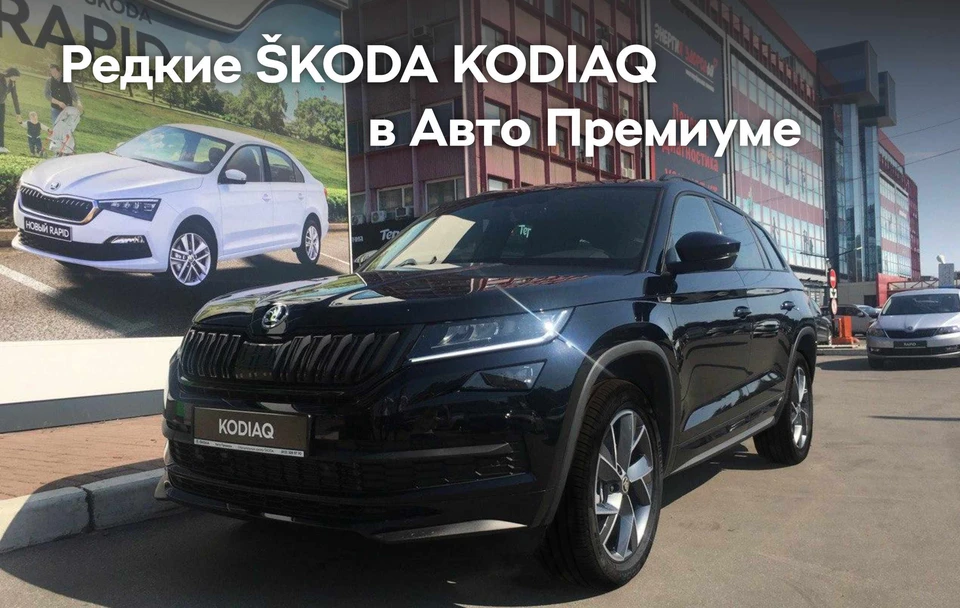 Редкие SKODA KODIAQ в Авто Премиуме. Фото предоставлено ГК Авто Премиум в Санкт-Петербурге.