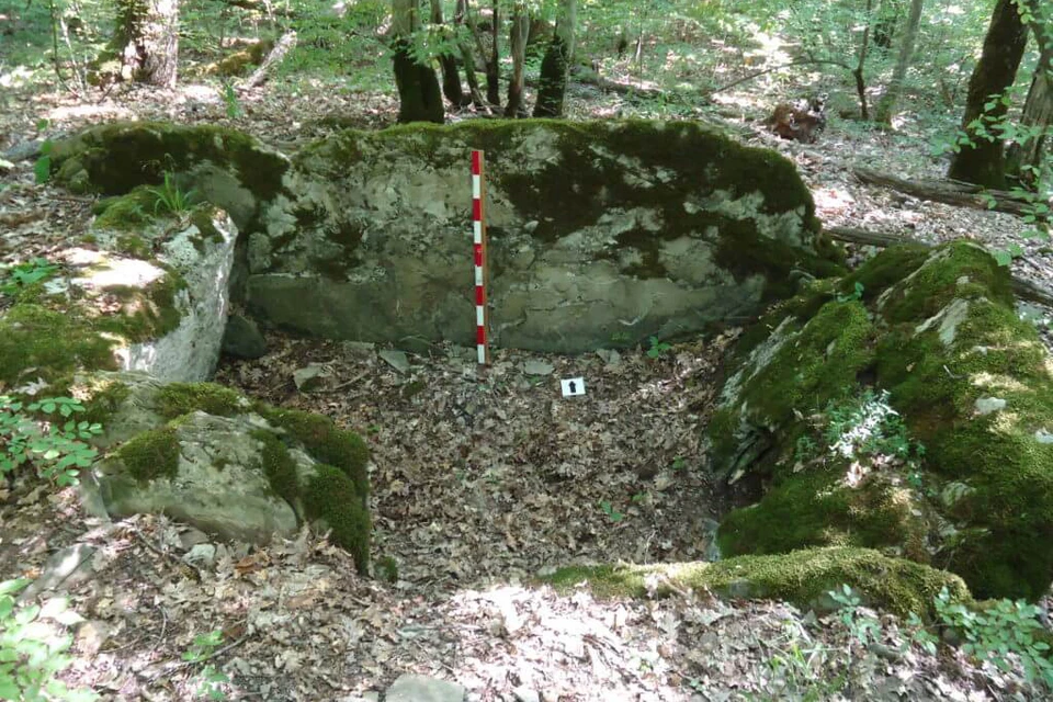 Фото: Новороссийский рабочий.
