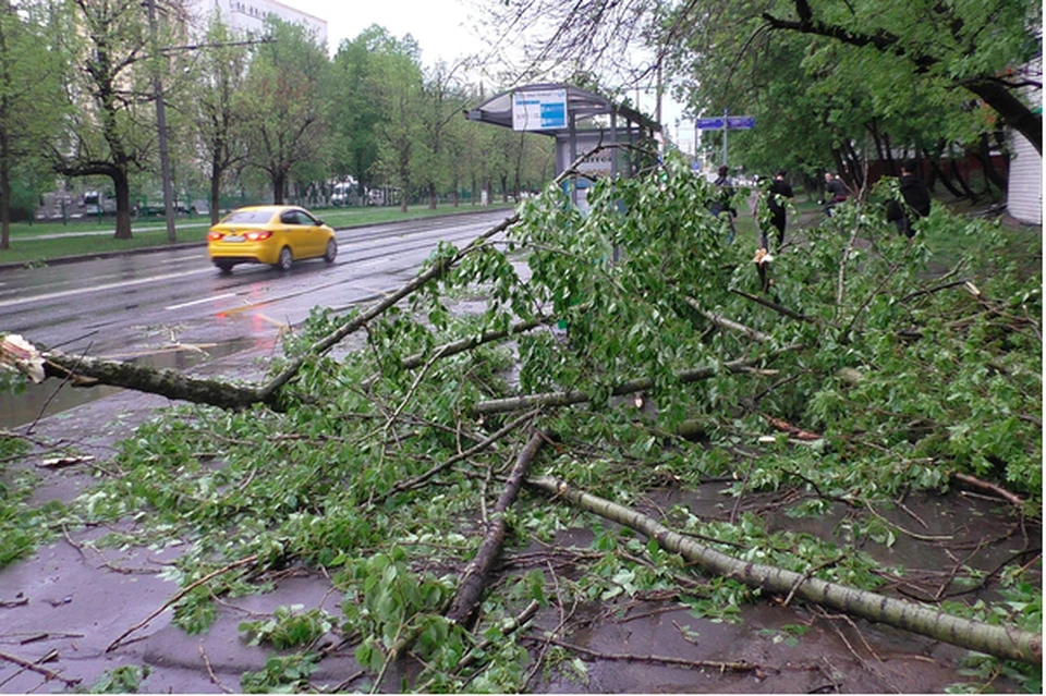 Томск вчера оказался под натиском непогоды.