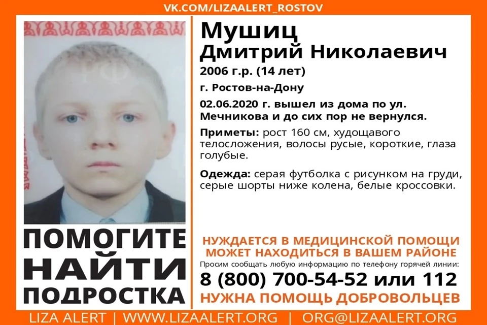 14-летний Дмитрий Мушиц нуждается в медицинской помощи. Фото: vk.com/lizaalert_rostov