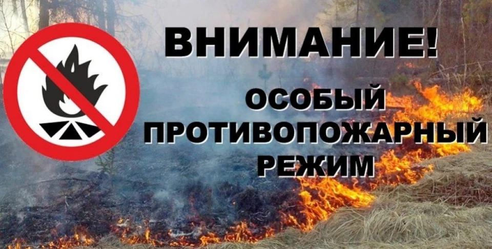 В Белгороде было не жарко, жаркие деньки — еще впереди. Фото пресс-службы ГУ МЧС России по Белгородской области.