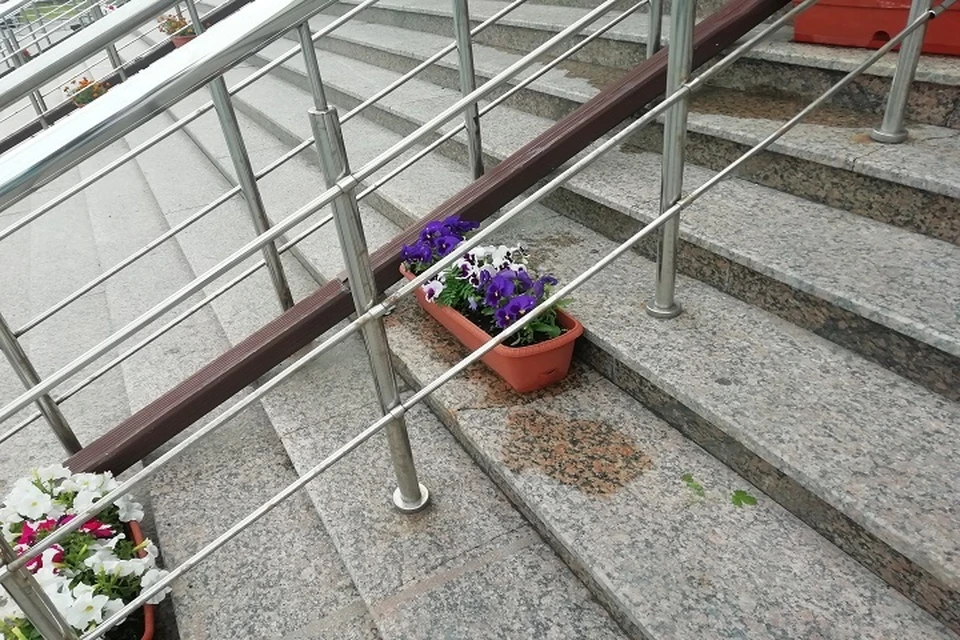 Погода в Югре 6 июля: преимущественно без осадков. Фото: Савинов Руслан.
