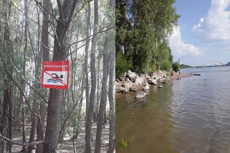 Днем, 7 июля, на реке Обь трое сибиряков бросились спасать тонущую 12-летнюю девочку.
